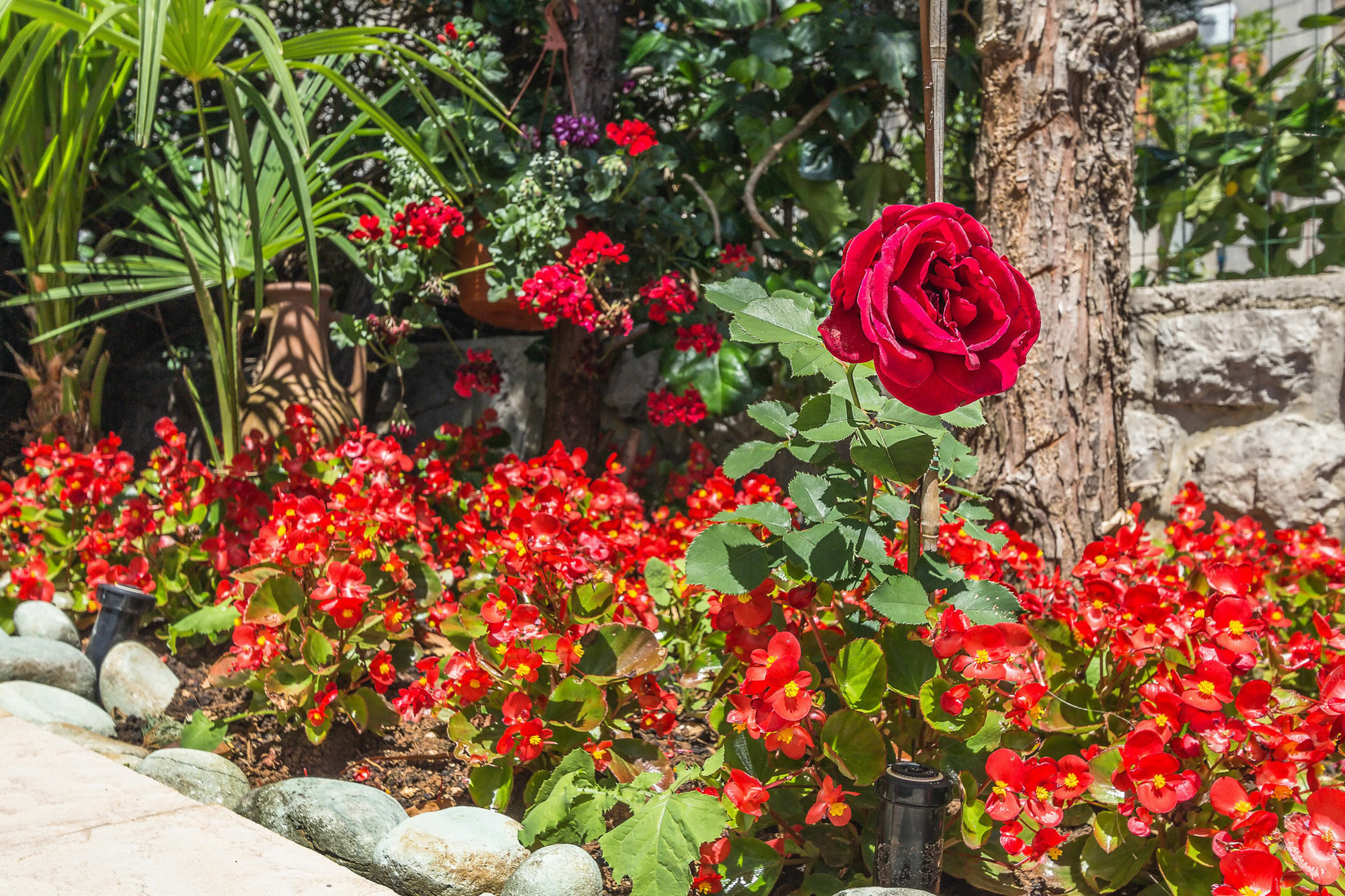 Villa Roses Apartments & Wellness Ičići 외부 사진